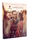 Strzępy DVD - zdjęcie