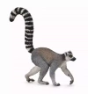 Lemur - zdjęcie