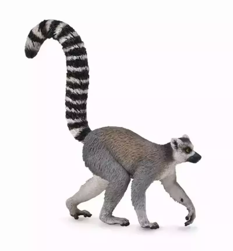 Lemur