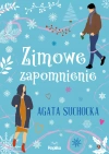 Zimowe zapomnienie - zdjęcie