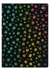 Teczka z gumką A4 Happy Color - zdjęcie