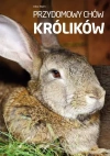 Przydomowy chów królików - zdjęcie