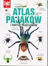 Atlas pająków - zdjęcie