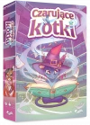 Czarujące kotki - zdjęcie