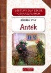 Antek - zdjęcie