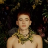 Palo Santo, LP - zdjęcie