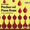 Puchar od Pana Boga. Audiobook - zdjęcie