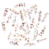 Naklejki Pet Kwiaty Beige Mist 30 szt. - zdjęcie