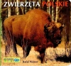 Zwierzęta polskie - zdjęcie