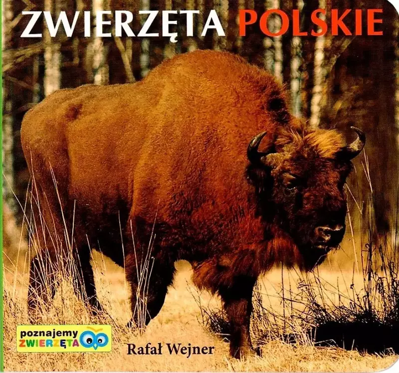 Zwierzęta polskie Zwierzęta polskie