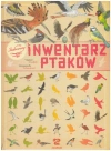 Ilustrowany inwentarz ptaków - zdjęcie