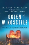 Ogień w Kościele. Nadzieja w czasach kryzysu - zdjęcie