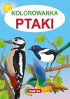 Kolorowanka. Ptaki - zdjęcie