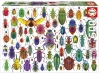 Puzzle 500 elementów. Kolorowe owady - zdjęcie
