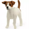 Farm World. SLH13916. Pies rasy Jack Russell Terrier - zdjęcie