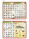 Podkładka edu. 025 - Motyle, owady, anatomia.. - zdjęcie