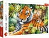 Puzzle 1500 elementów. Dwa tygrysy - zdjęcie