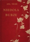 Niedola burze - zdjęcie