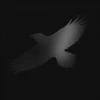 Odins Raven Magic (with Steindór Andersen, Hilmar Orn Hilmarsson and Maria Huld Markan Sigfusdóttir), CD - zdjęcie