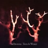 Trees In Winter Reissue. CD - zdjęcie