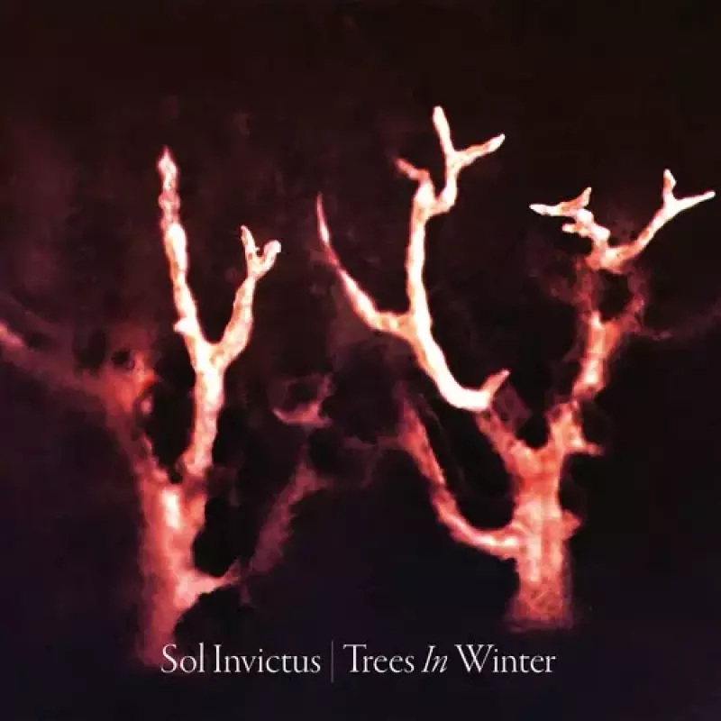 Trees In Winter Reissue. CD Trees In Winter Reissue. CD