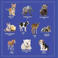 My Sticker Paintings: Baby Animals: 10 Adorable Paintings, zdjęcie 4
