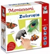 Kapitan Nauka. Montessori. Karty sensoryczne. Zwierzęta 2+ - zdjęcie