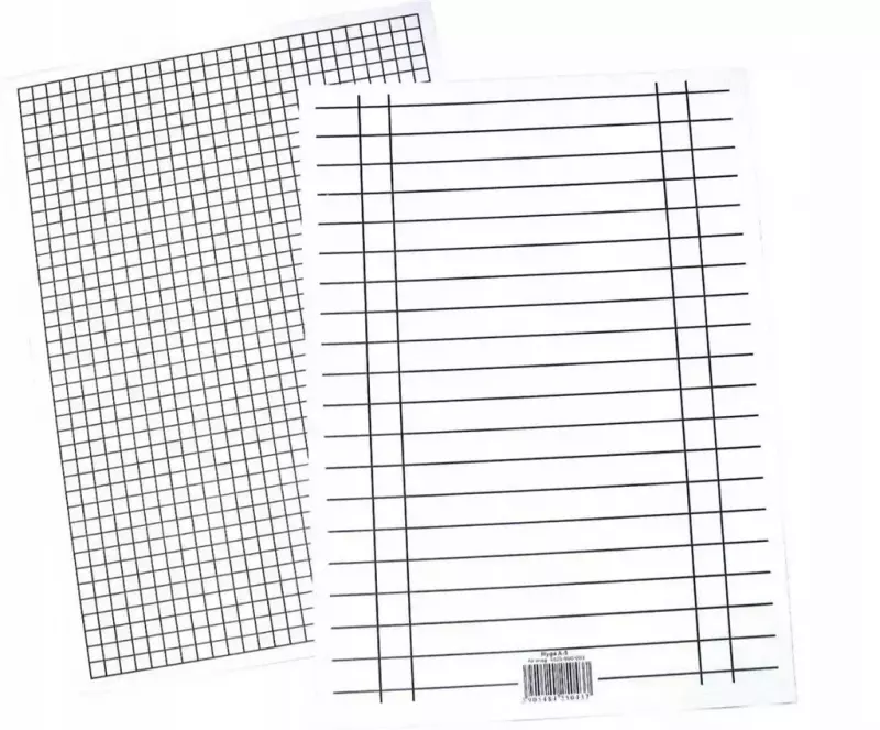 Liniuszek A5 kratka/linia 170g (10szt) Liniuszek A5 kratka/linia 170g (10szt)