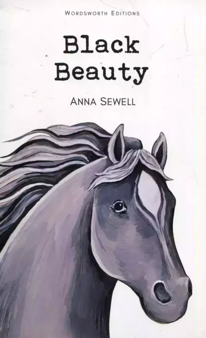 Black Beauty Black Beauty