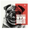 Syn miasta, Winyl - zdjęcie