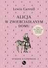 Alicja w zwierciadlanym domu, czyli po drugiej stronie lustra - zdjęcie