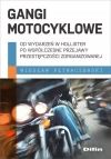 Gangi motocyklowe. Od wydarzeń w Hollister po współczesne przejawy przestępczości zorganizowanej - zdjęcie