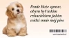 Magnes na lodówkę. Panie Boże spraw... - zdjęcie