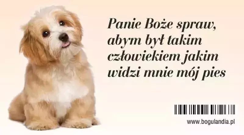 Magnes na lodówkę. Panie Boże spraw... Magnes na lodówkę. Panie Boże spraw...