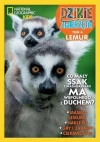 Lemur. Kolekcja Dzikie Zwierzęta. Tom 4 - zdjęcie