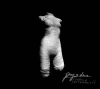 Wasza Wspaniałość (Digipack) - zdjęcie