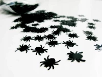 Pająk Party deco 1,2 x 1,2 cm 500 szt., zdjęcie 3
