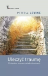 Uleczyć traumę. 12-stopniowy program wychodzenia z traumy - zdjęcie