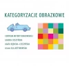 Kategoryzacje obrazkowe - zdjęcie