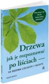 Drzewa jak je rozpoznawać po liściach w.3 - zdjęcie