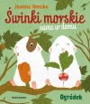 Świnki morskie same w domu. Ogródek - zdjęcie