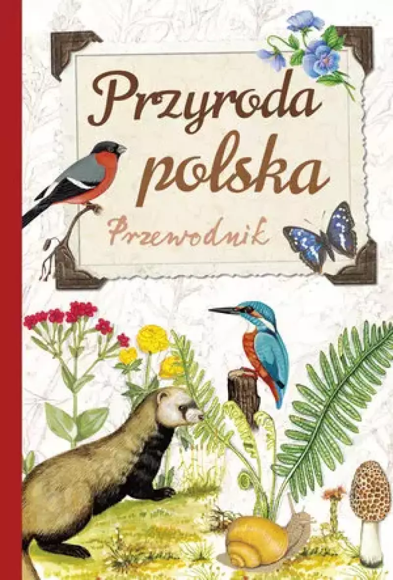 Przyroda polska. Przewodnik Przyroda polska. Przewodnik