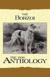 Borzoi - zdjęcie