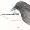 Wrona i kwiat wiśni - zdjęcie