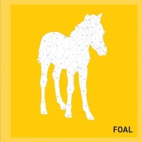 My Sticker Paintings: Baby Animals: 10 Adorable Paintings, zdjęcie 5
