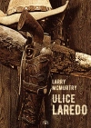 Ulice Laredo - zdjęcie