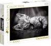 Puzzle 1000 elementów. High Quality Collection. Kot - zdjęcie