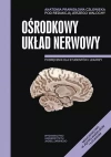 Anatomia prawidłowa człowieka. Ośrodkowy układ nerwowy. Podręcznik dla studentów i lekarzy - zdjęcie