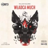 Władca much. Audiobook - zdjęcie