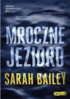 Mroczne jezioro - zdjęcie